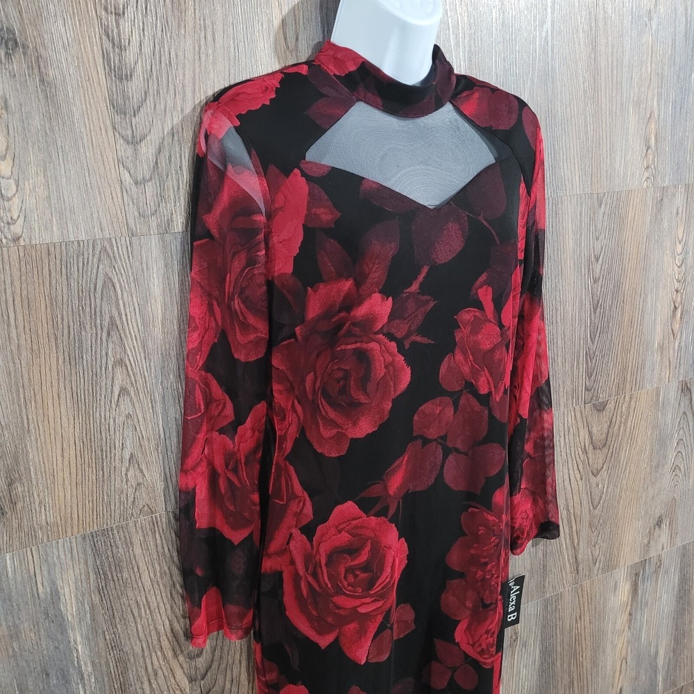 VTG Alexa B Nites Dark Romantic Dress Size 10 Sheer Mesh Roses Whimsigoth Lined - Picture 3 of 12